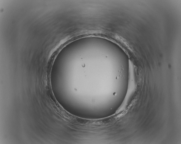 X0000076431165200610271726