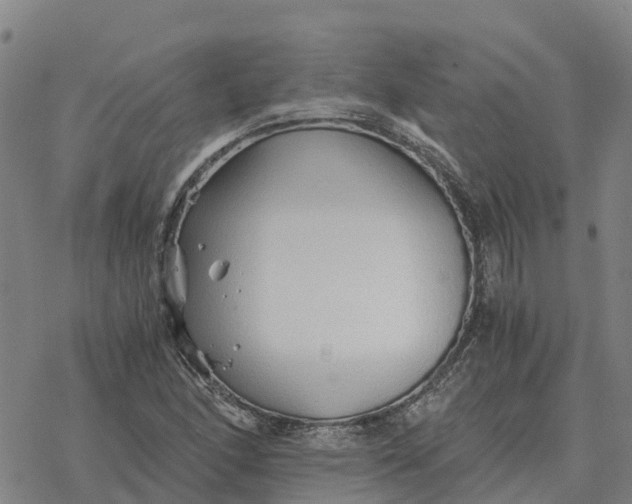 X0000076431166200610271726