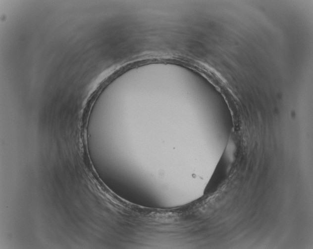 X0000076431168200610271726