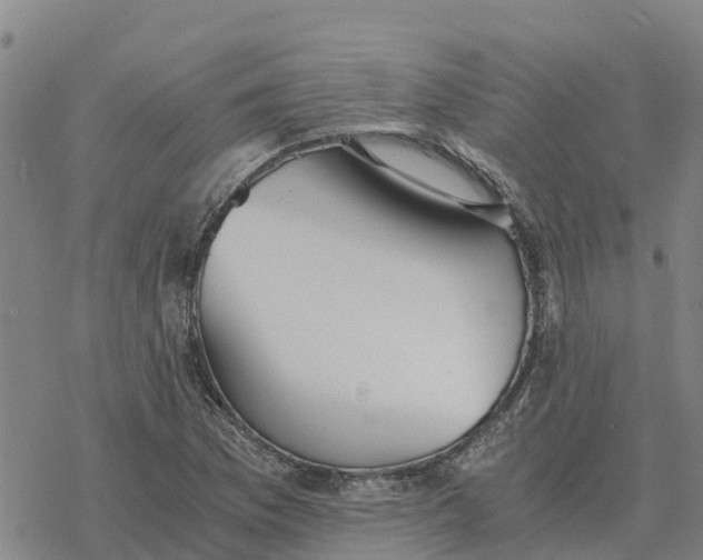 X0000076431169200610271726