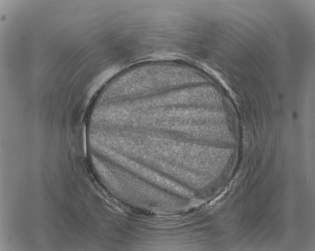 X0000076431171200610271726