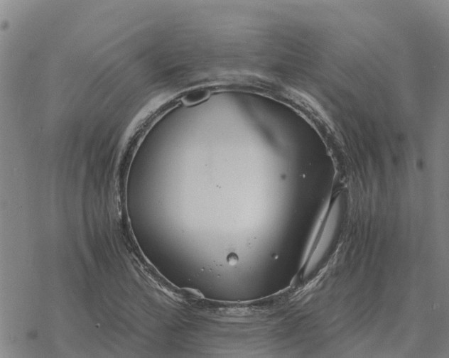 X0000076431172200610271726