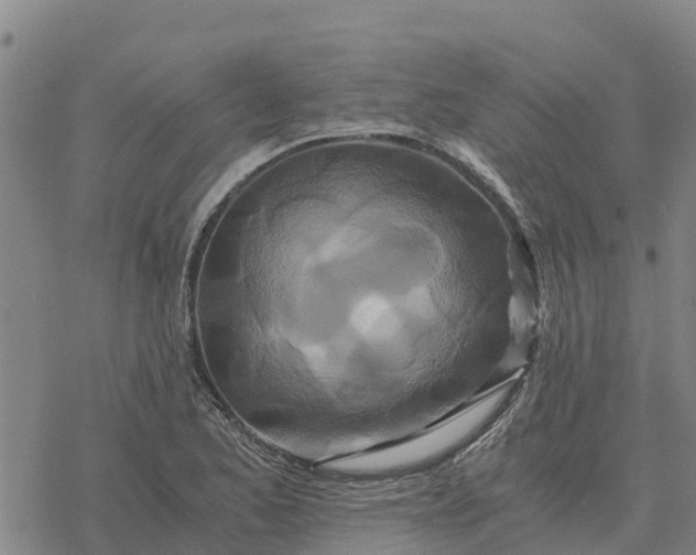 X0000076431173200610271726