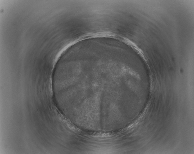 X0000076431174200610271726