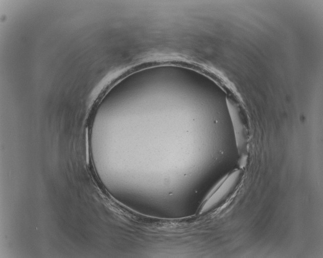 X0000076431175200610271726