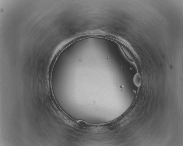 X0000076431176200610271726