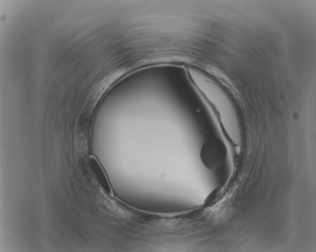 X0000076431177200610271726