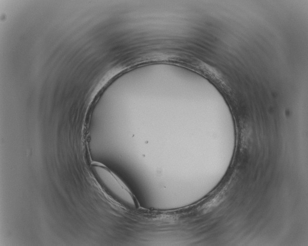 X0000076431178200610271726