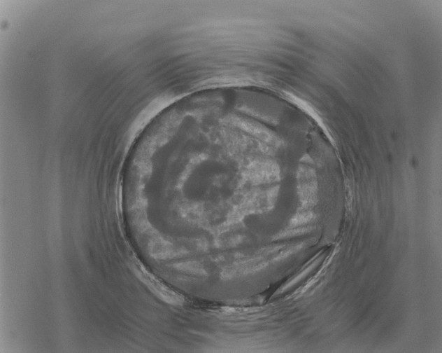 X0000076431179200610271725