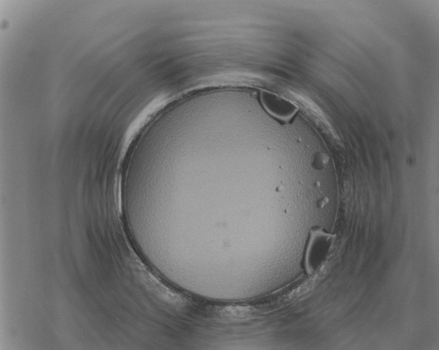 X0000076431180200610271725