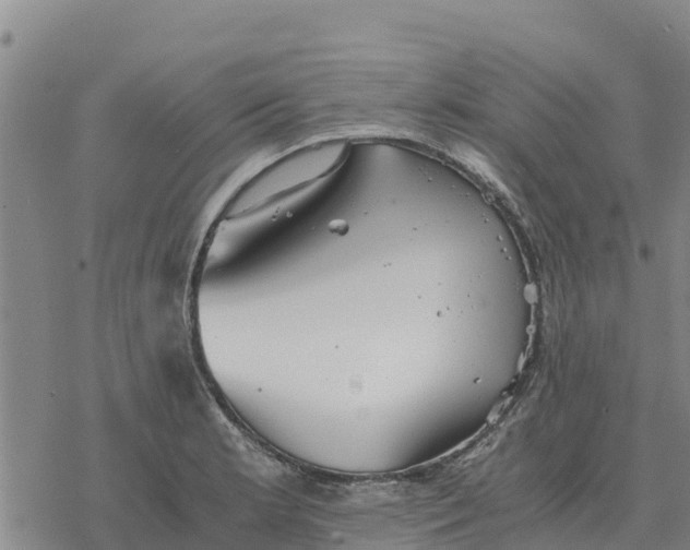 X0000076431181200610271725