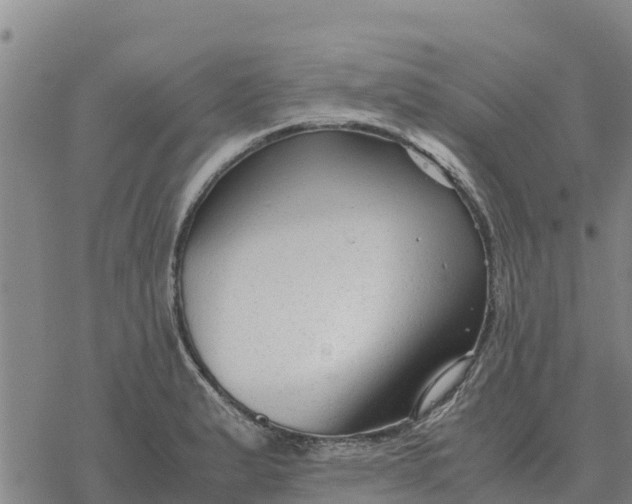 X0000076431183200610271725