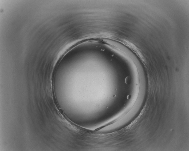 X0000076431184200610271725