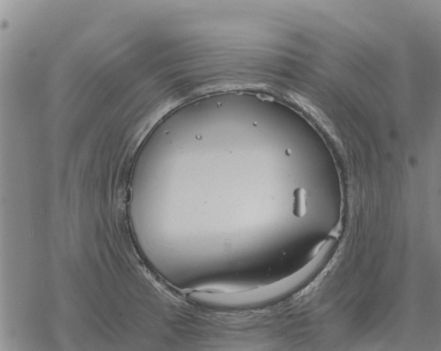 X0000076431185200610271725