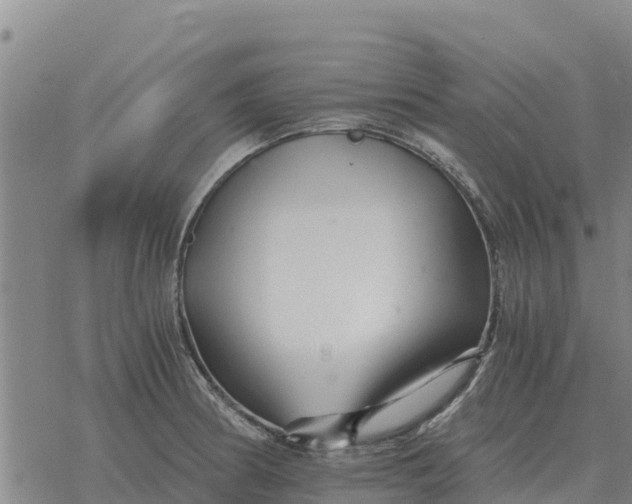 X0000076431186200610271725