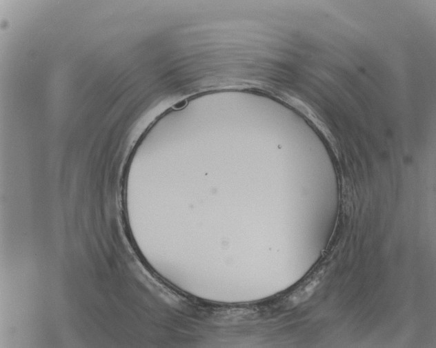 X0000076431187200610271725