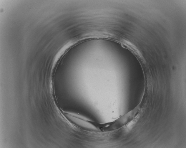 X0000076431188200610271725