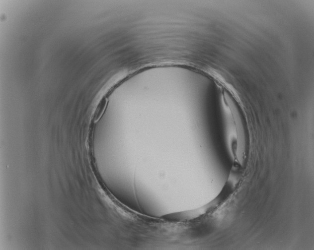 X0000076431189200610271725