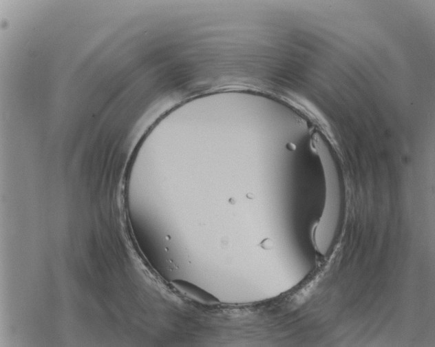 X0000076431190200610271725