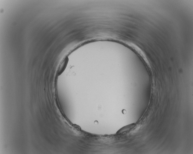 X0000076431191200610271725