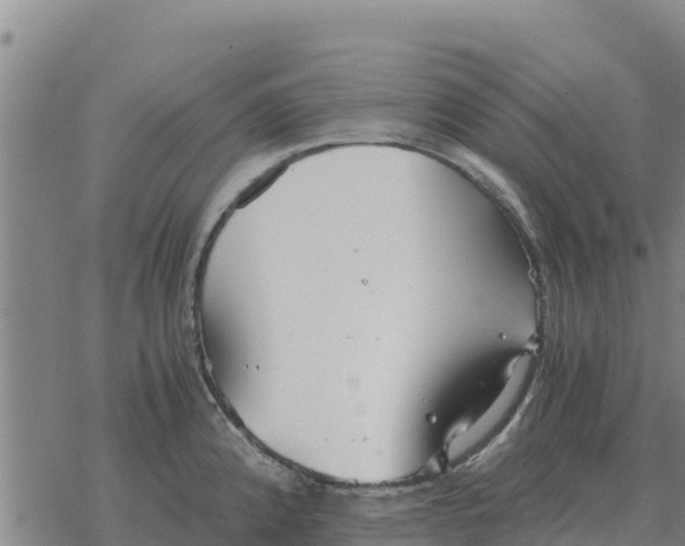 X0000076431192200610271725