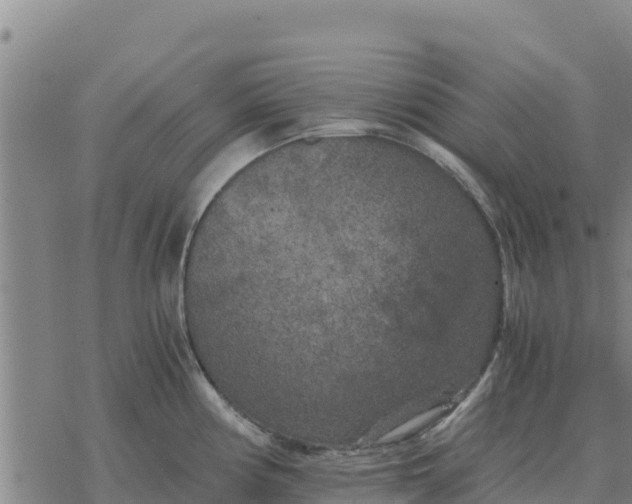 X0000076431194200610271725