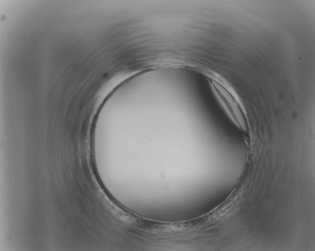 X0000076431195200610271725