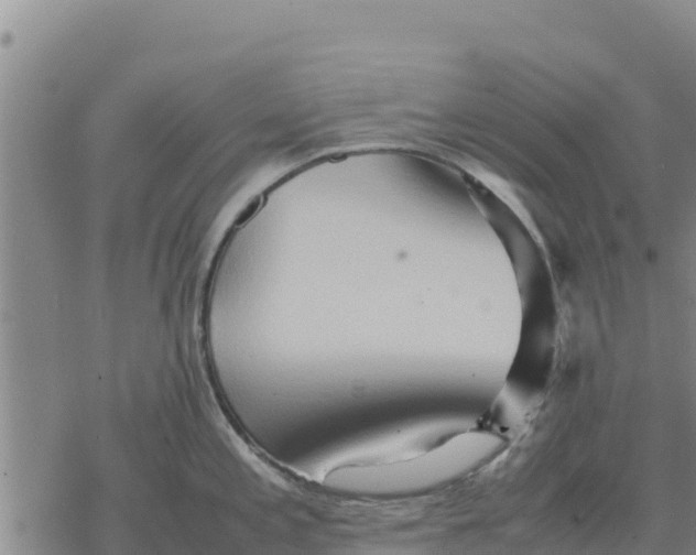 X0000076431197200610271725