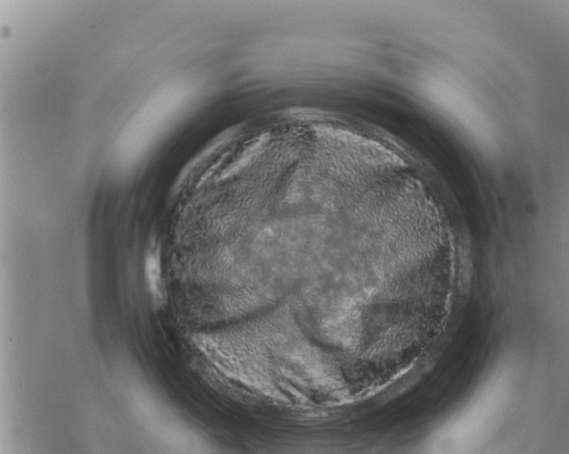 X0000076431198200610271725