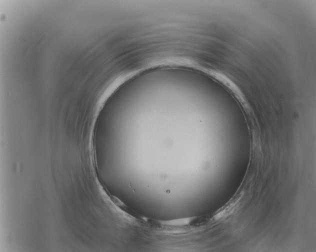 X0000076431199200610271725