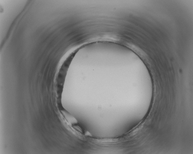 X0000076431200200610271725