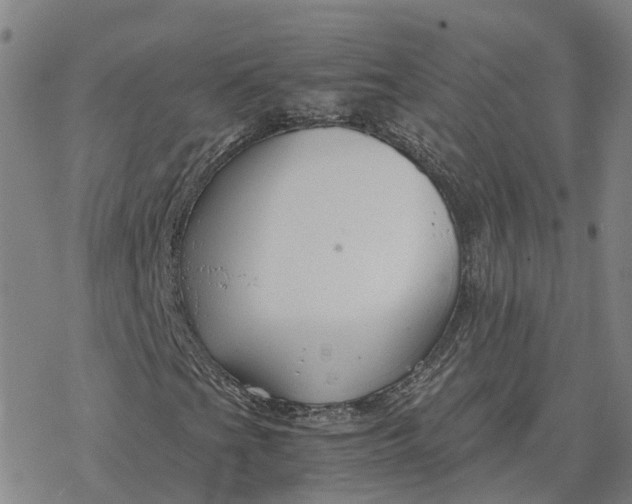 X0000076431201200610271724