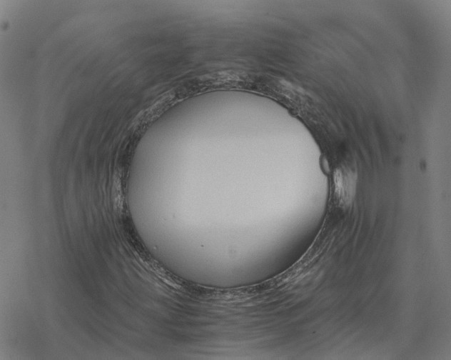 X0000076431203200610271724