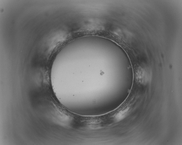 X0000076431204200610271724