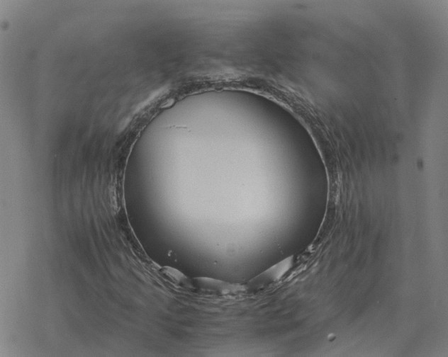 X0000076431205200610271724