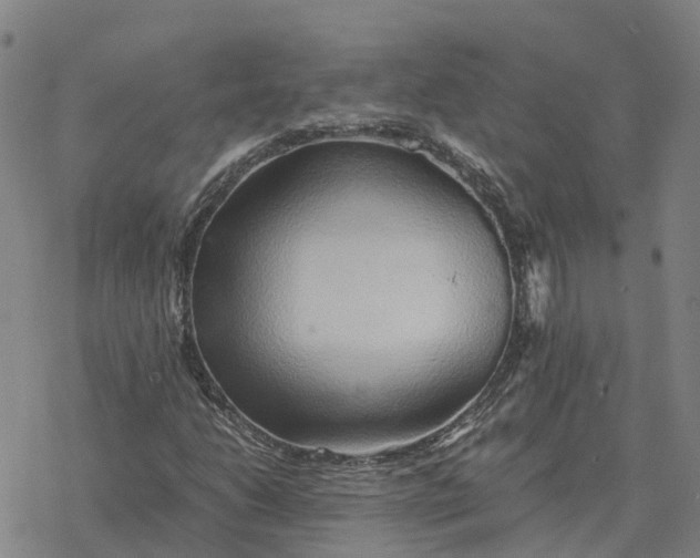 X0000076431206200610271724