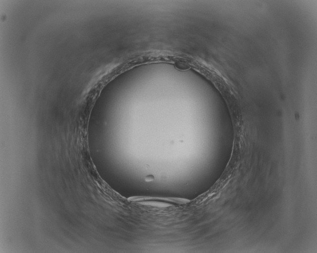 X0000076431207200610271724