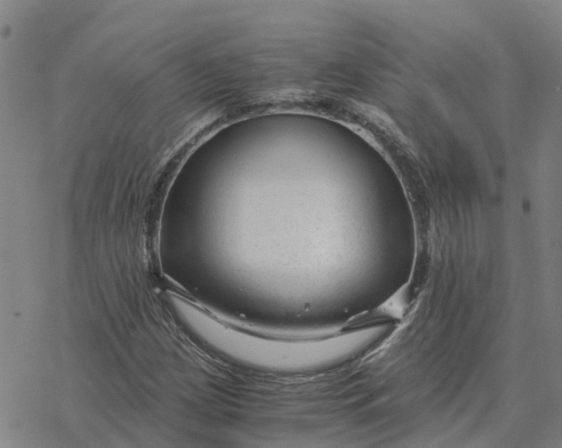 X0000076431209200610271724