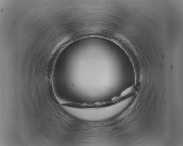 X0000076431210200610271725