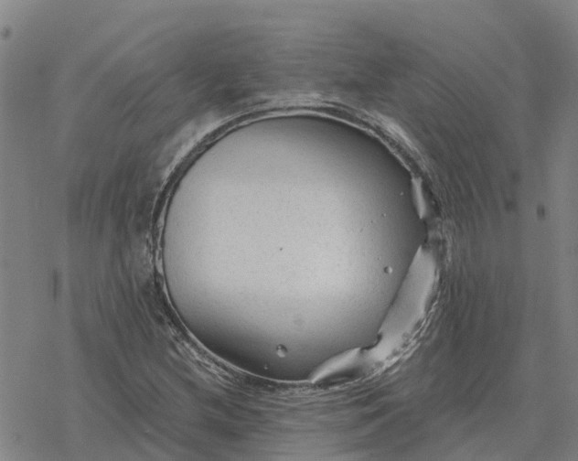 X0000076431212200610271725