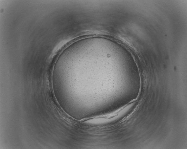 X0000076431215200610271725