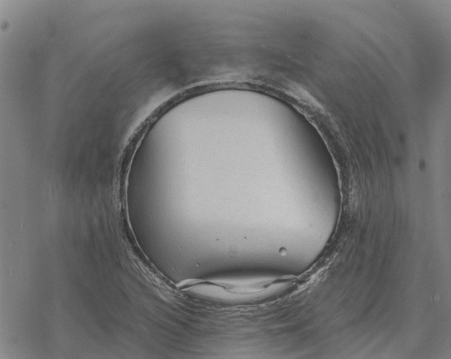 X0000076431216200610271725