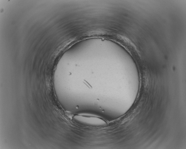 X0000076431217200610271725