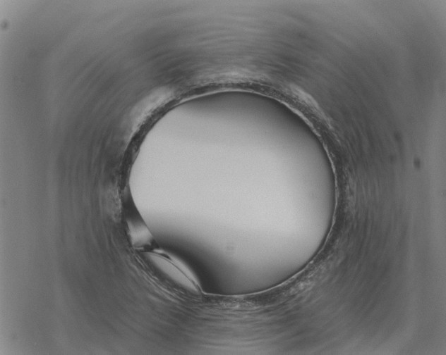 X0000076431218200610271725