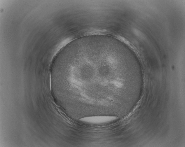 X0000076431219200610271725