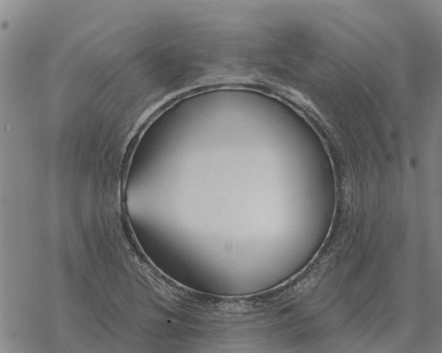 X0000076431220200610271725