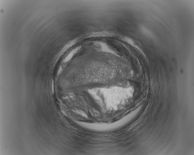 X0000076431221200610271725