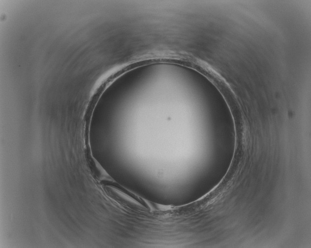 X0000076431222200610271725