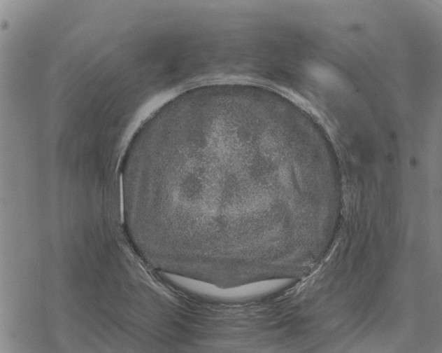 X0000076431223200610271725