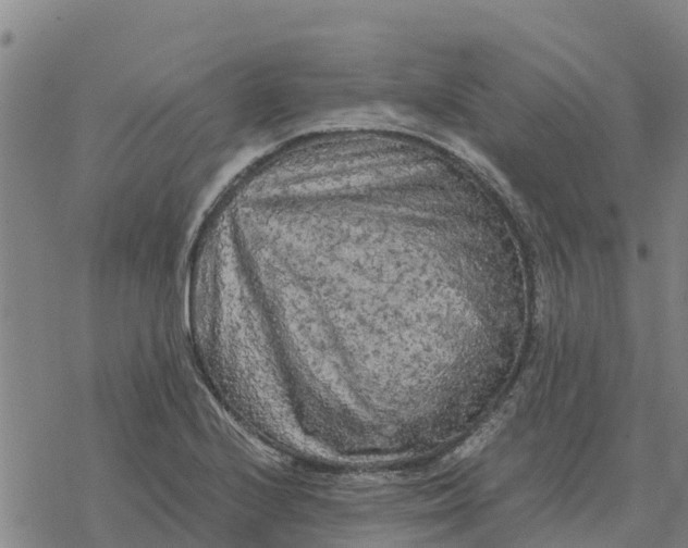 X0000076431224200610271725